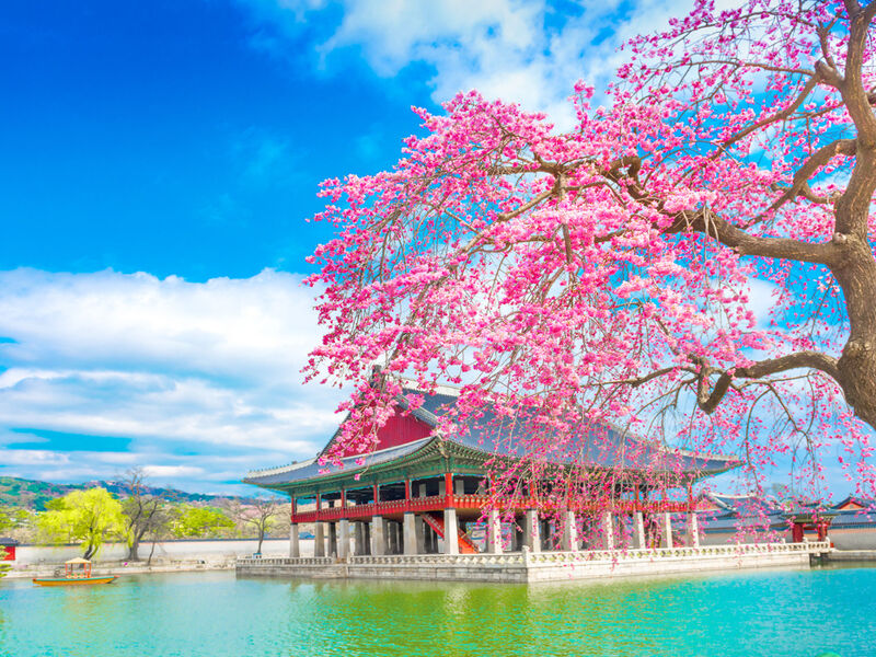 Elegant Japonya & Güney Kore