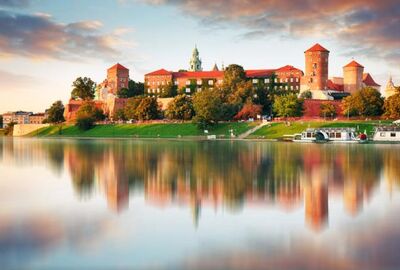 ALMANYA POLONYA 2025