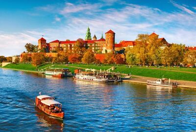 ALMANYA POLONYA 2025